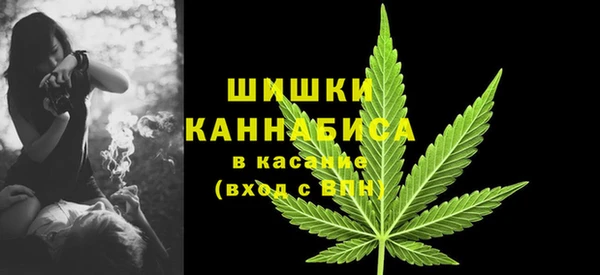 сатива Беломорск