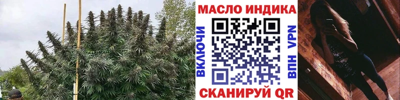 ТГК концентрат Гай